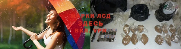 кокс Богданович
