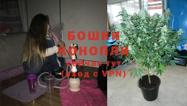 кокс Богданович