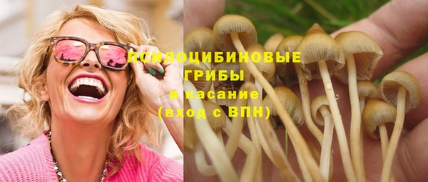 метамфетамин Богородицк