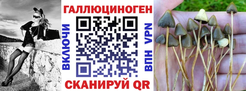 Галлюциногенные грибы мицелий Ессентукская